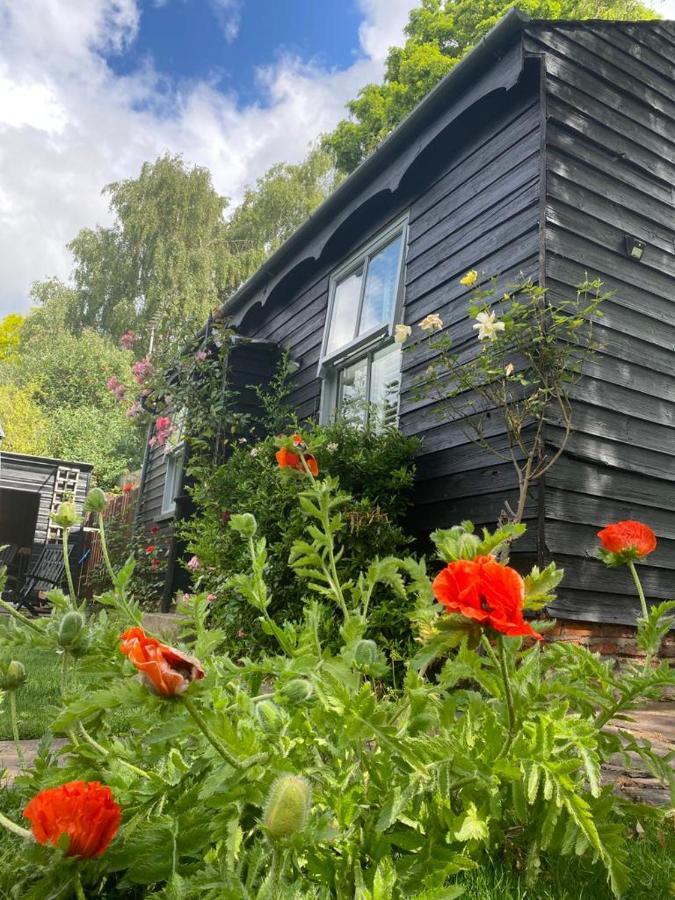 Thompsons Cottage Beverley Exteriör bild