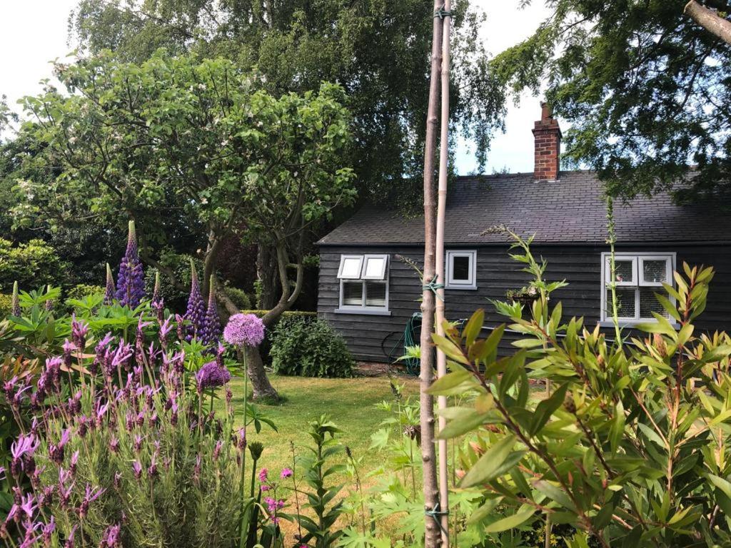 Thompsons Cottage Beverley Exteriör bild