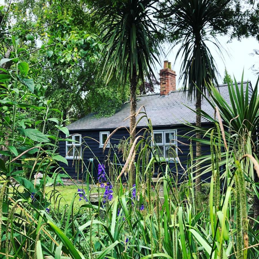 Thompsons Cottage Beverley Exteriör bild